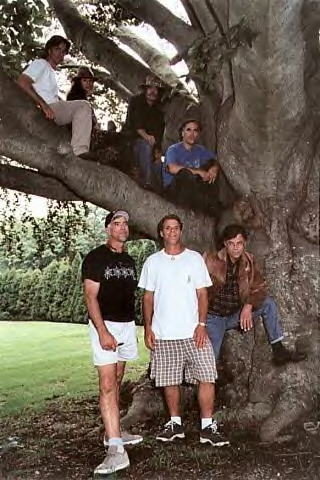 Tree 2000
